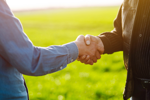 Handshake two farmer after agreement. Two farmer standing and shaking hands in a green wheat field.